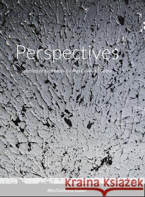Perspectives Alys Caviness-Gober 9781716735110