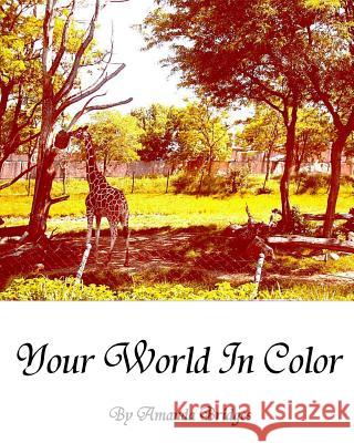 Your World In Color Bridges, Amanda R. 9781717047533 Createspace Independent Publishing Platform