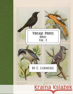 Vintage Prints: Birds: Vol. 3 E. Lawrence 9781717053374 Createspace Independent Publishing Platform