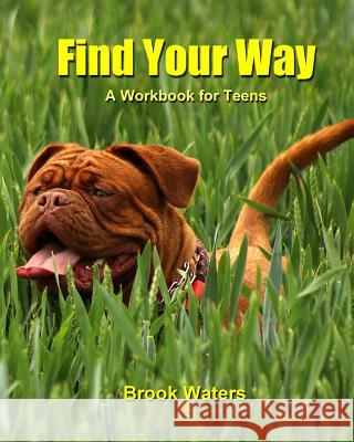 Find Your Way: A Workbook for Teen Depression and Anxiety Brook Waters 9781717292353 Createspace Independent Publishing Platform