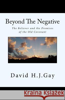 Beyond The Negative: The Believer and the Promises of the Old Covenant Gay, David H. J. 9781717563453 Createspace Independent Publishing Platform