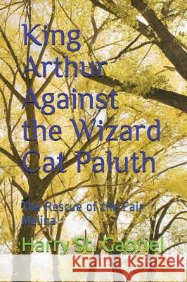King Arthur Against the Wizard Cat Paluth: The Rescue of the Fair Melina Harry S 9781717898265