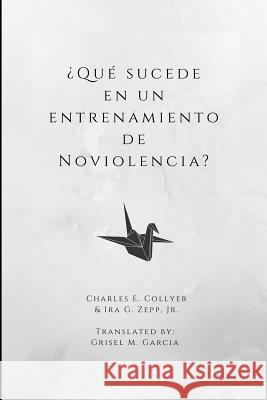 ¿qué Sucede En Un Entrenamiento de Noviolencia? Zepp, Ira G. 9781717940964 Independently Published