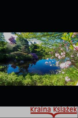 Out of Nowhere Allison Yeager Christa Walter 9781717948335 Independently Published