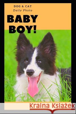 Dog&cat Photo Lin Daniel 9781718051676 Independently Published