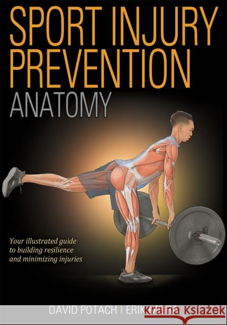 Sport Injury Prevention Anatomy David Potach Erik Meira 9781718208285 Human Kinetics Publishers