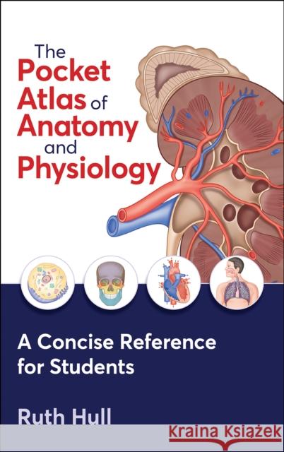The Pocket Atlas of Anatomy and Physiology Ruth Hull 9781718227040 Human Kinetics Publishers