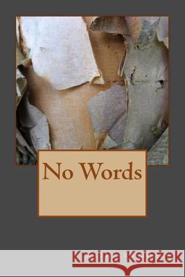 No Words Kathleen Booky 9781718611603 Createspace Independent Publishing Platform