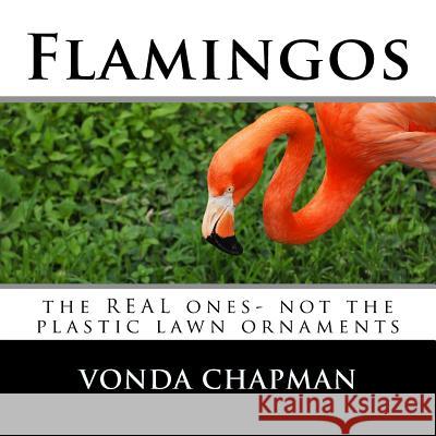 Flamingos: the REAL ones- not the plastic lawn ornaments Chapman, Vonda 9781718620070