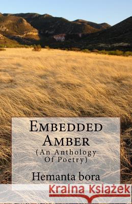 Embedded Amber: Soul- in Search of the Solace Bora 9781718804111