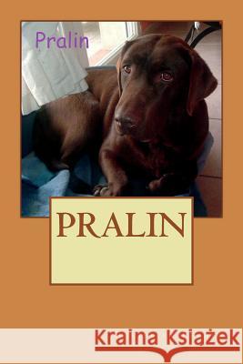Pralin. Christian Ferrer 9781718811690 Createspace Independent Publishing Platform