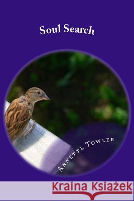 Soul Search Annette Towler 9781718815100 Createspace Independent Publishing Platform