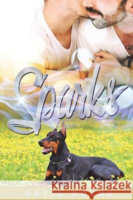 Sparks David Horne 9781718877184 Createspace Independent Publishing Platform