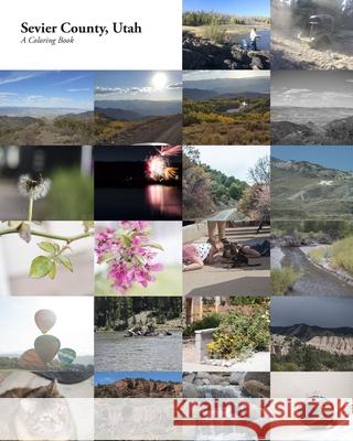 Sevier County Utah: A Coloring Book Dallas R. Price 9781718913325 Createspace Independent Publishing Platform