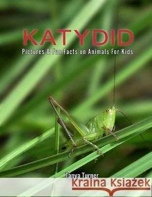 Katydid: Pictures & Fun Facts on Animals For Kids Tanya Turner 9781718974289 Createspace Independent Publishing Platform