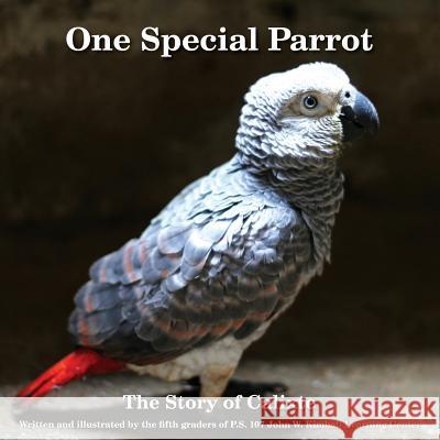 One Special Parrot: The Story of Calixte The Fifth Graders of P. S. 107 John W. K 9781719001816 Createspace Independent Publishing Platform