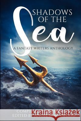 Shadows of the Sea: A Fantasy Writers Anthology J. E. Feldman 9781719012232 Createspace Independent Publishing Platform