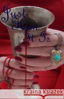 Just How It Is Katarina A. Deweese 9781719263894 Createspace Independent Publishing Platform