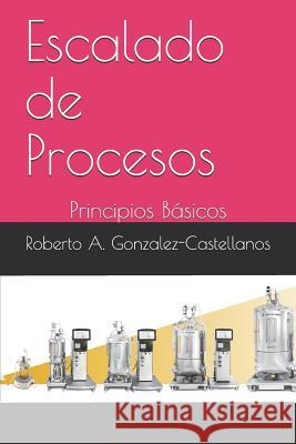 Escalado de Procesos: Principios Básicos Gonzalez-Castellanos, Roberto a. 9781719846172 Independently Published