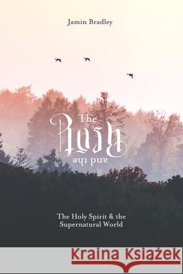 The Rush and the Rest: The Holy Spirit & the Supernatural World Jamin Bradley 9781719871808