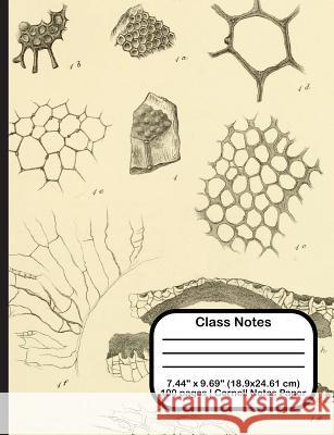 Class Notes Terri Jones 9781719922647