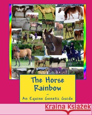 The Horse Rainbow Melanie Patton 9781720011583