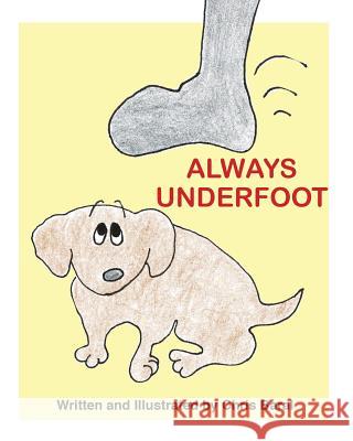 Always Underfoot Chris Baral 9781720531692