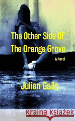The Other Side Of The Orange Grove Gallo, Julian 9781720643883 Createspace Independent Publishing Platform
