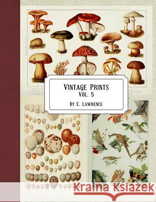 Vintage Prints: Vol. 5 E. Lawrence 9781720746270 Createspace Independent Publishing Platform