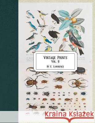 Vintage Prints: Vol. 6 E. Lawrence 9781720747901 Createspace Independent Publishing Platform