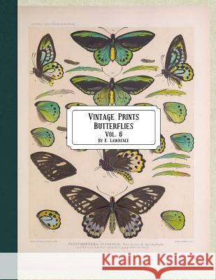 Vintage Prints: Butterflies: Vol. 3 E. Lawrence 9781720748830 Createspace Independent Publishing Platform