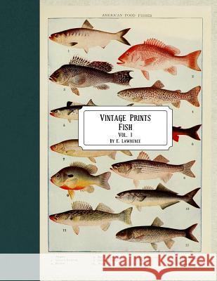 Vintage Prints: Fish: Vol. 1 E. Lawrence 9781720784807 Createspace Independent Publishing Platform