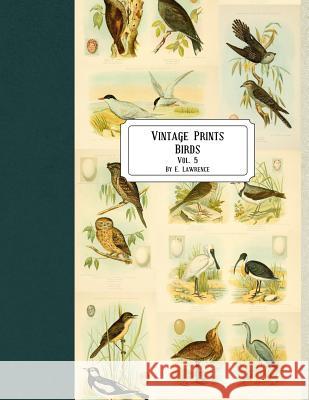 Vintage Prints: Birds: Vol. 5 E. Lawrence 9781720787532 Createspace Independent Publishing Platform