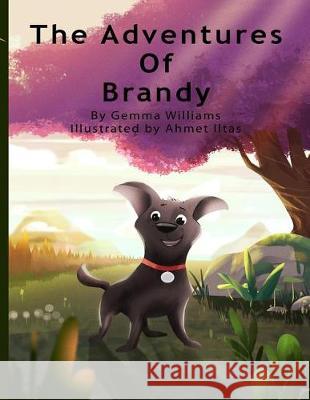 The Adventures of Brandy Gemma Williams 9781720894148
