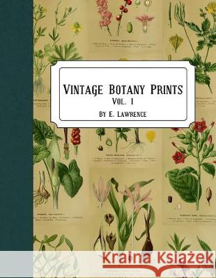 Vintage Botany Prints: Vol. 1 E. Lawrence 9781721001897 Createspace Independent Publishing Platform