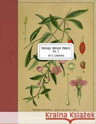 Vintage Botany Prints: Vol. 2 E. Lawrence 9781721037117 Createspace Independent Publishing Platform