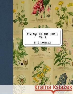 Vintage Botany Prints: Vol. 3 E. Lawrence 9781721276882 Createspace Independent Publishing Platform