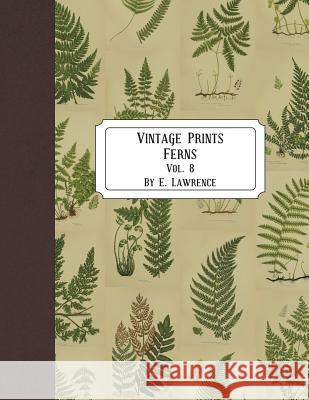 Vintage Prints: Ferns: Vol. 8 E. Lawrence 9781721524464 Createspace Independent Publishing Platform