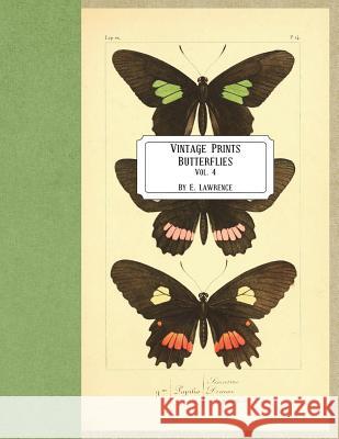 Vintage Prints: Butterflies: Vol. 4 E. Lawrence 9781721569168 Createspace Independent Publishing Platform