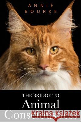 The Bridge To Animal Consciousness Bourke, Annie 9781721649679