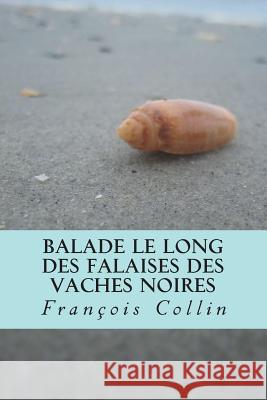 Balade le long des falaises des Vaches Noires Collin, Francois 9781721714766 Createspace Independent Publishing Platform