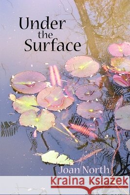 Under the Surface Joan North 9781721816941