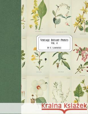 Vintage Botany Prints: Vol. 4 E. Lawrence 9781721830855 Createspace Independent Publishing Platform