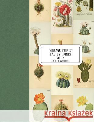 Vintage Prints: Cactus Prints: Vol. 5 E. Lawrence 9781721833344 Createspace Independent Publishing Platform