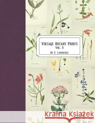 Vintage Botany Prints: Vol. 5 E. Lawrence 9781721894833 Createspace Independent Publishing Platform