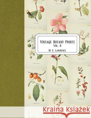 Vintage Botany Prints: Vol. 6 E. Lawrence 9781721904761 Createspace Independent Publishing Platform