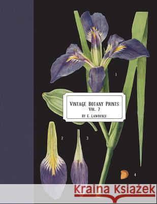 Vintage Botany Prints: Vol.7 E. Lawrence 9781721906116 Createspace Independent Publishing Platform