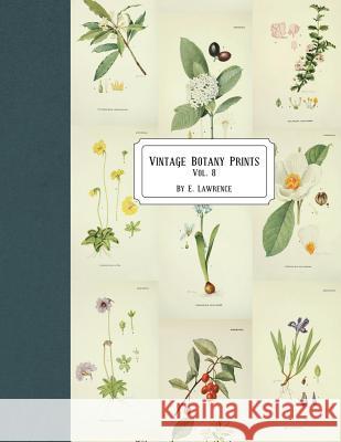 Vintage Botany Prints: Vol. 8 E. Lawrence 9781721997459 Createspace Independent Publishing Platform