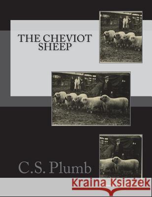 The Cheviot Sheep C. S. Plumb Jackson Chambers 9781722047924 Createspace Independent Publishing Platform