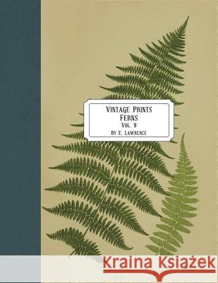 Vintage Prints: Ferns: Vol. 9 E. Lawrence 9781722124236 Createspace Independent Publishing Platform